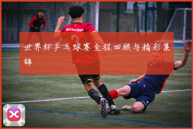 世界杯乒乓球赛全程回顾与精彩集锦