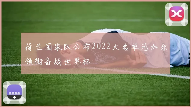 荷兰国家队公布2022大名单范加尔领衔备战世界杯