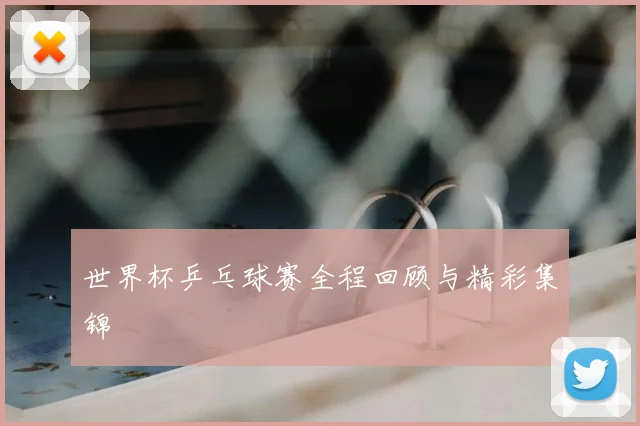 世界杯乒乓球赛全程回顾与精彩集锦