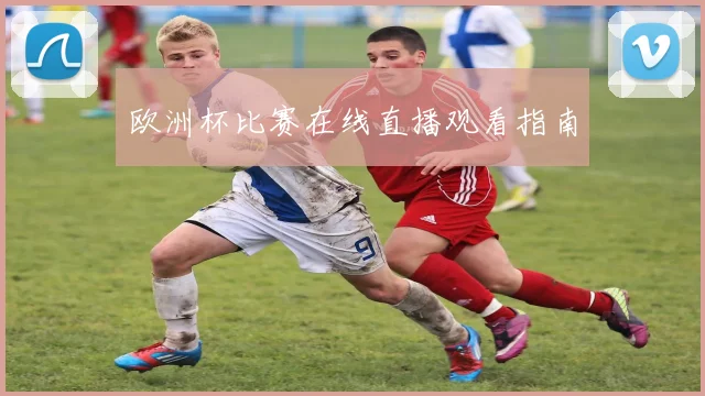 欧洲杯比赛在线直播观看指南