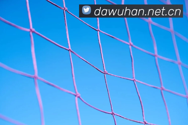 九游·官方版web站入口 - Jiuyou j9(中国)平台生态图